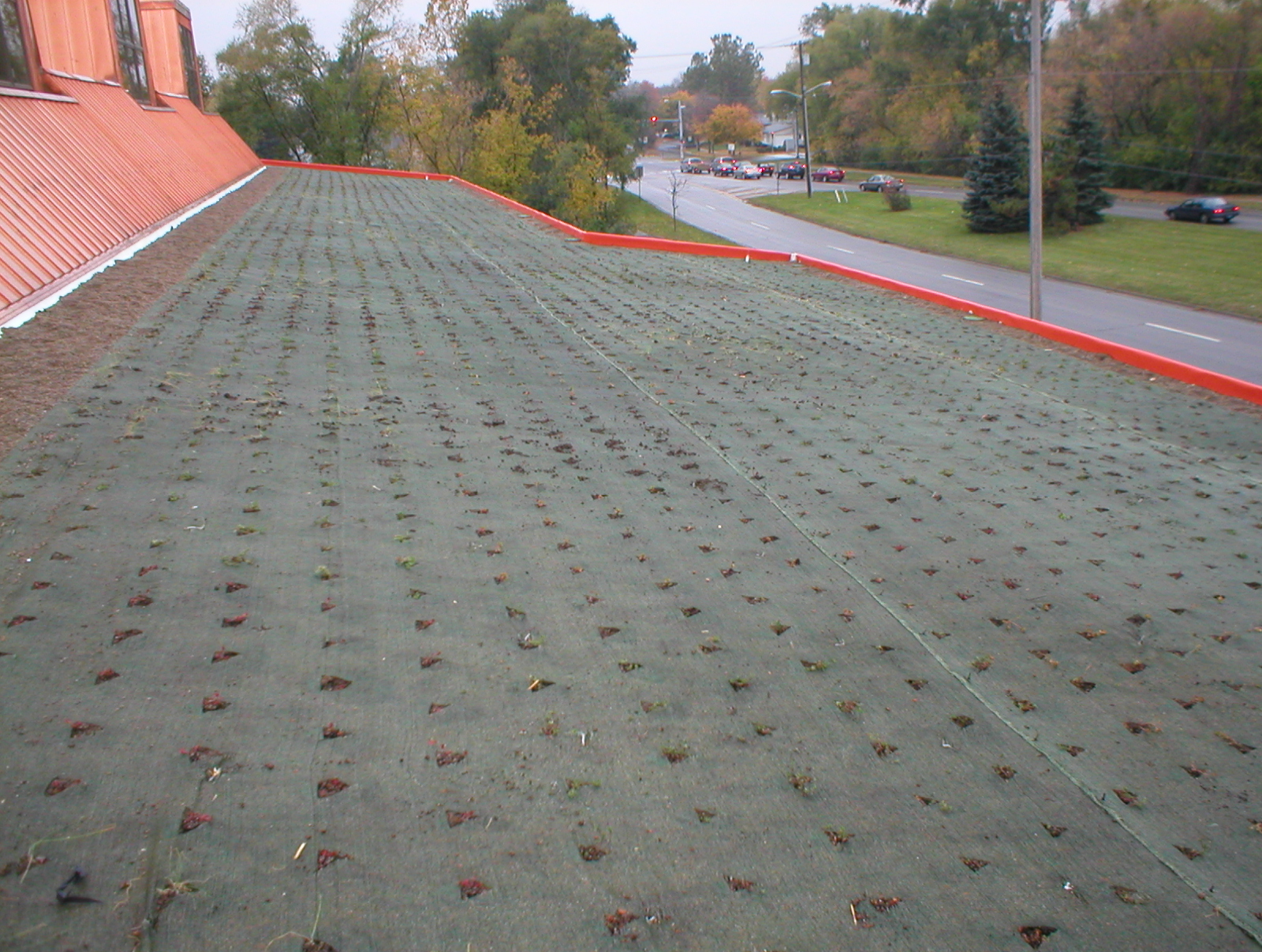Malletts Creek Branch Completed green roof with plugs, 2003 Ann